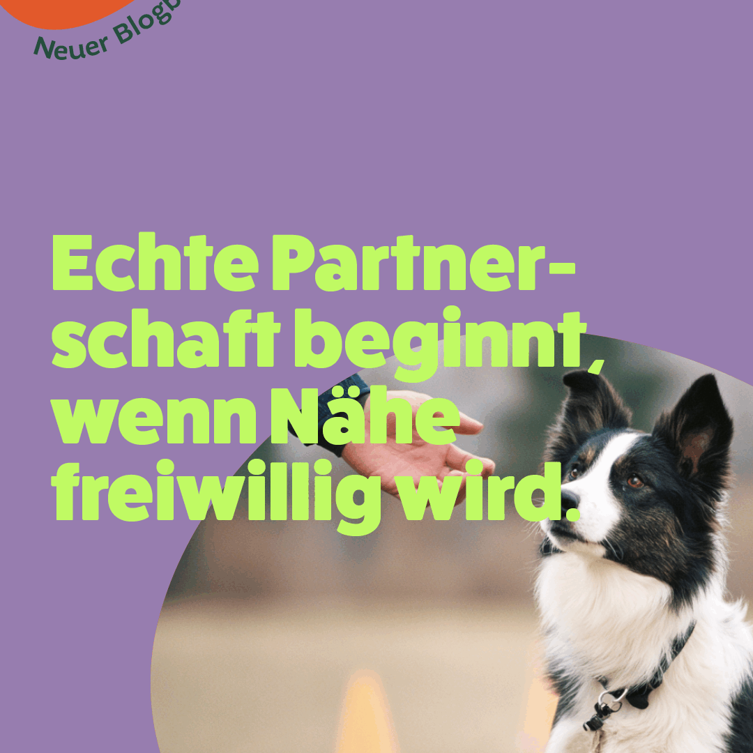 Echte Partnerschaft beginnt wenn Nähe freiwillig wird