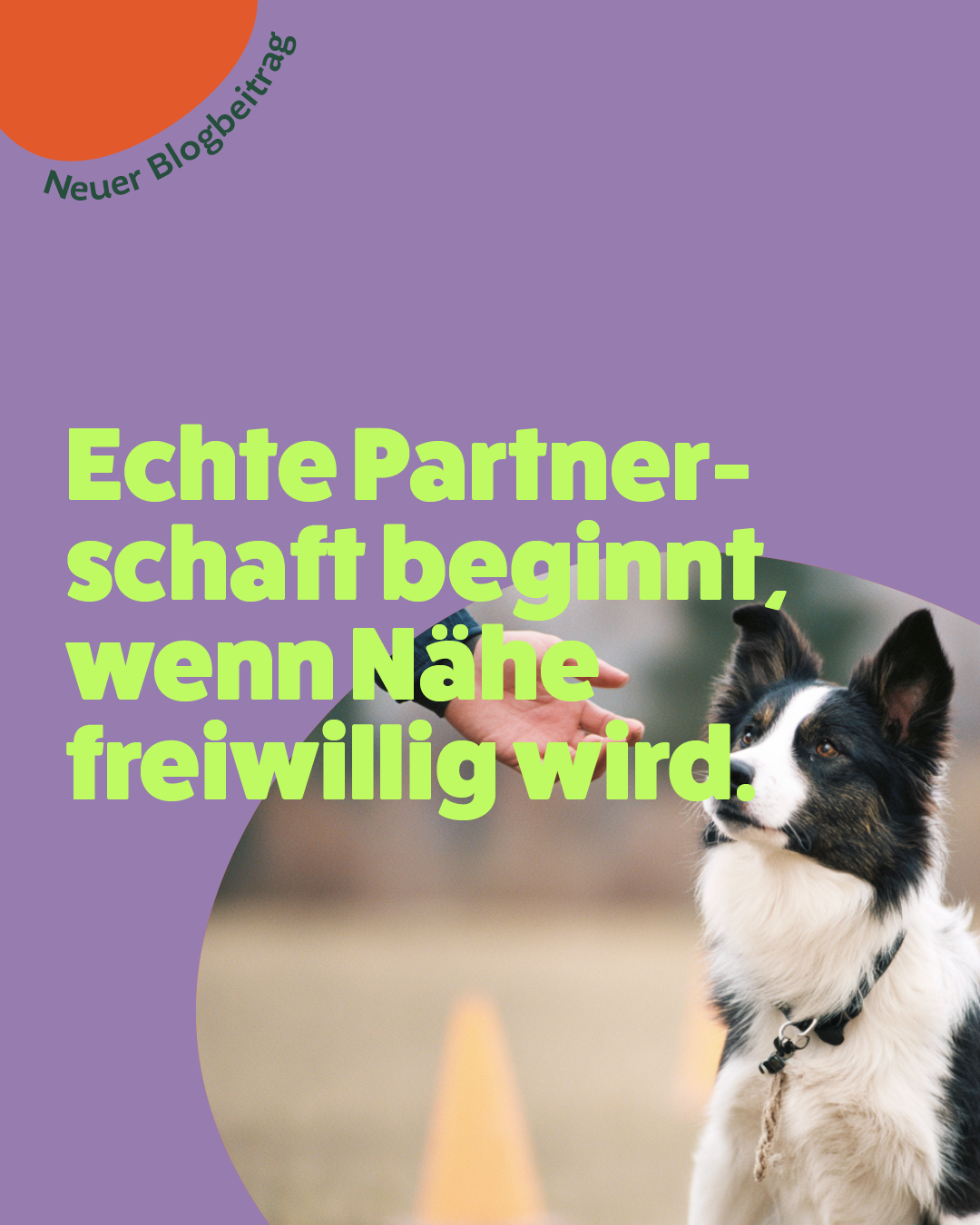 Echte Partnerschaft beginnt wenn Nähe freiwillig wird