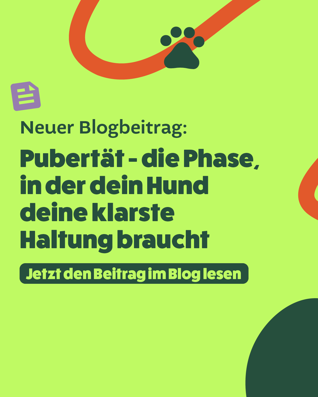 Emotionale Entwicklung des jungen Hundes: Pubertät als neurologische Umbauphase.