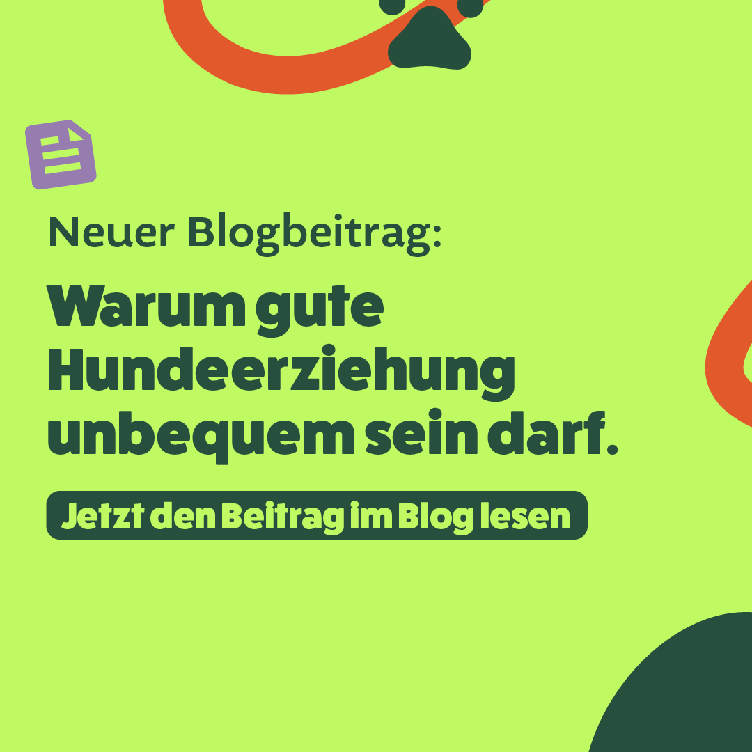 Warum gute Hundeerziehung unbequem sein darf